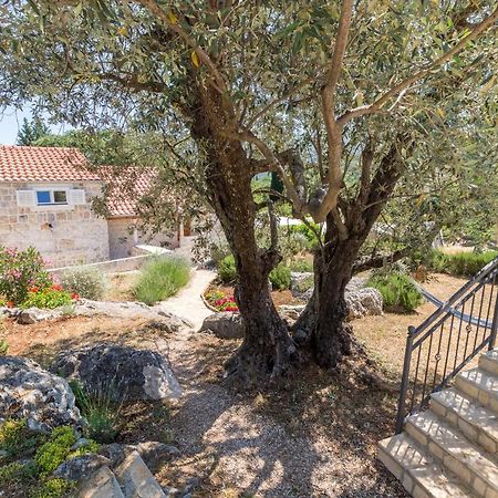 Olive Garden Apartment Ston Dış mekan fotoğraf