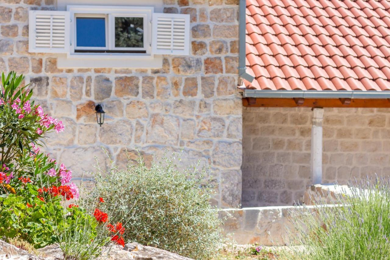 Olive Garden Apartment Ston Dış mekan fotoğraf